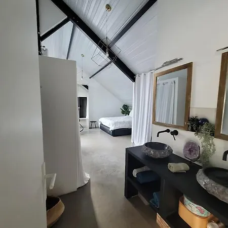 Loft Elegant,spacieux,atypique * Colombes (Hauts-de-Seine)